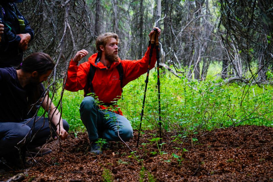 Denali: Naturalist Walking Tour in Denali National Park - Key Points