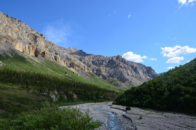 Denali Park Zipline Adventure - Key Points