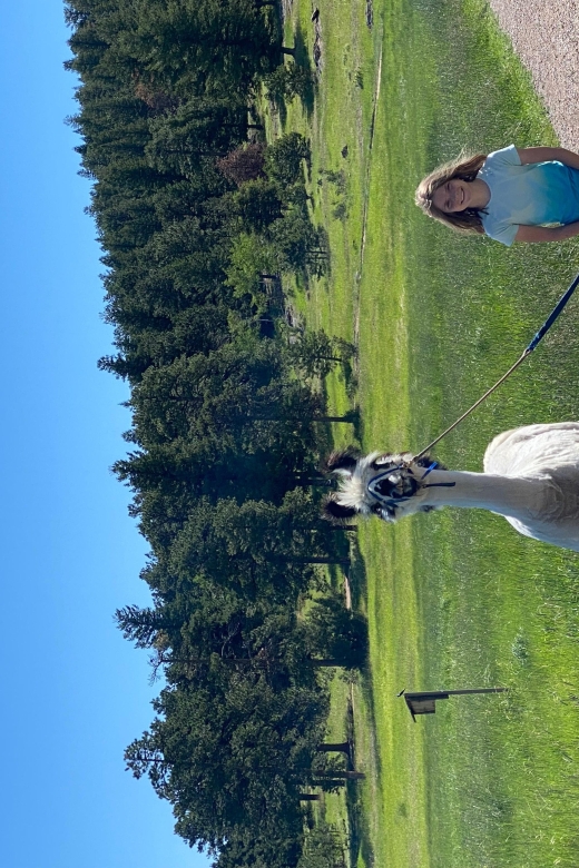 Denver: Llama Hike in the Rocky Mountains - Key Points