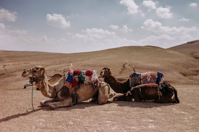 Desert Agafay & Atlas Mountains With Camel Ride Day Trip From Marrakech - Key Points