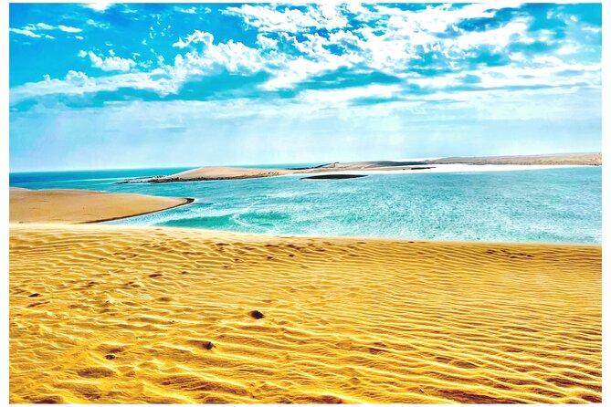 Desert Safari, Camel Ride, Sand Boarding, Inland Sea Visit COMBO - Key Points