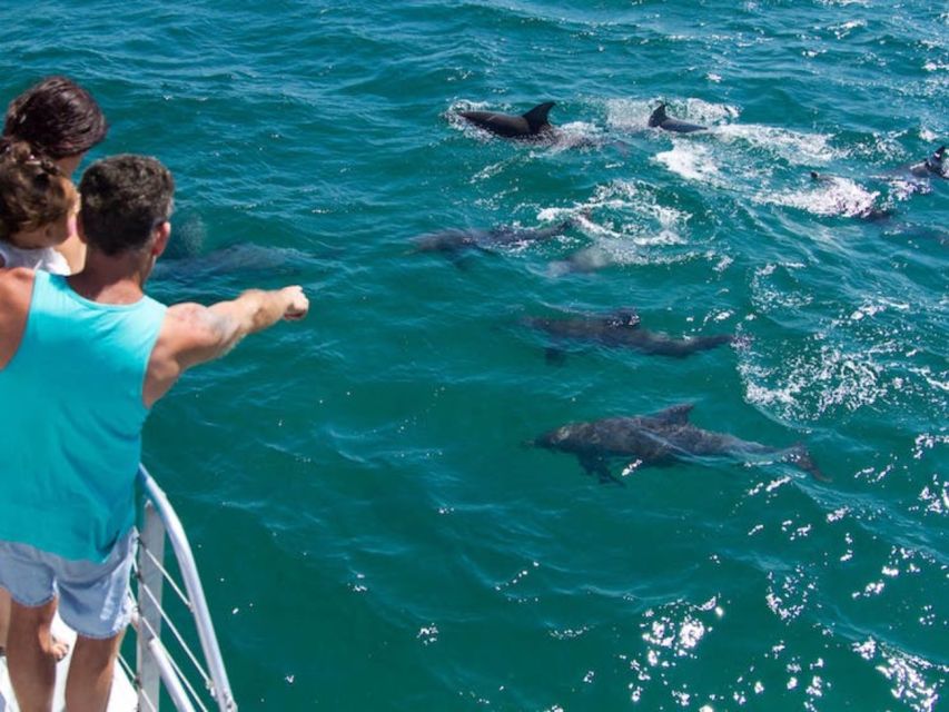 Destin: Dolphin Watch Cruise - Key Points