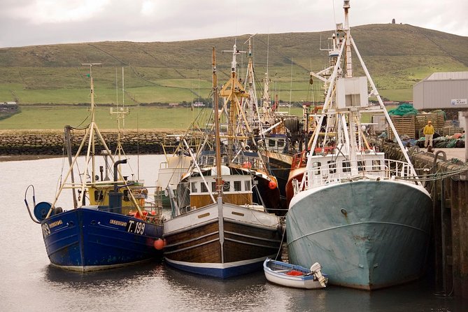 Dingle Peninsula Day Tour From Limerick: Including the Wild Altanic Way - Key Points