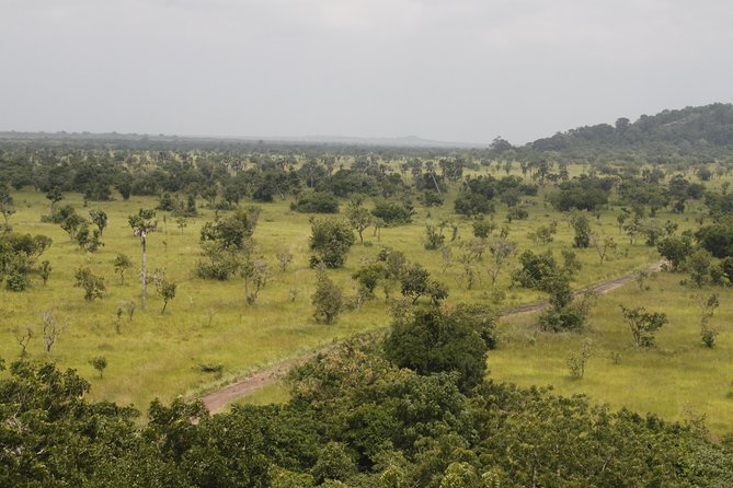 Discover Nature at Shai Hills - Tour Overview