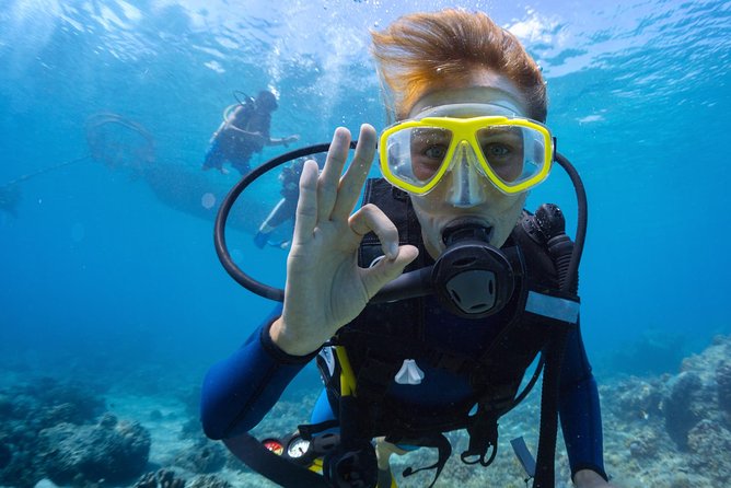 Discover Scuba Diving Aruba - Key Points