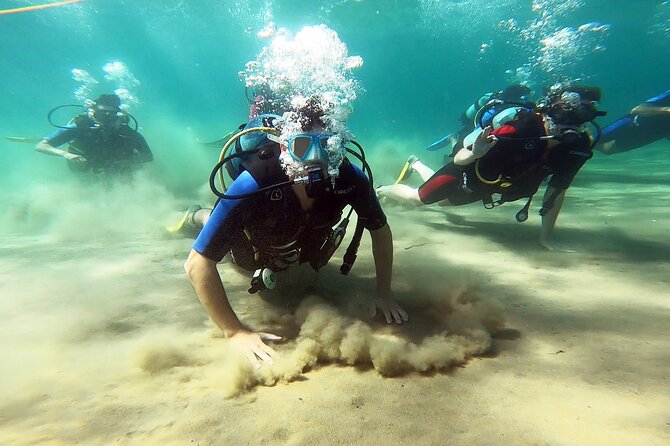 Discover Scuba Diving Experience in Nea Makri - Key Points