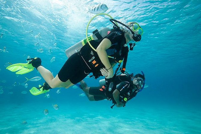 Discover Scuba Diving With Two Dives In The Ocean In Tenerife With Transfers Key Points