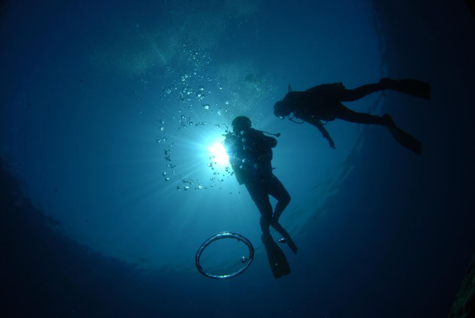 Discovery Dive - 2 Hour Uncertified Diver Introductory Dive - Key Points