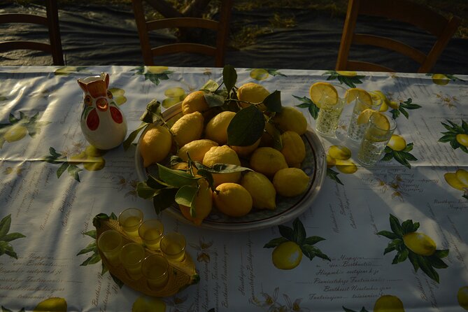 Discovery Tour of Sorrento Lemon in Massa Lubrense - Key Points