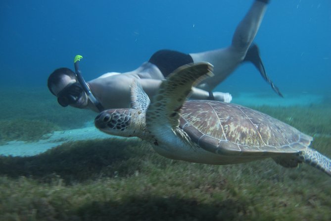 Diving and / or Snorkeling Day From a Catamaran - Snorkeling and Exploration