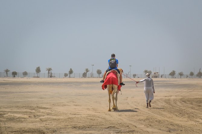 Doha Safari: Bash The Dunes, Camel Ride and Sandboarding - Overview of Doha Safari