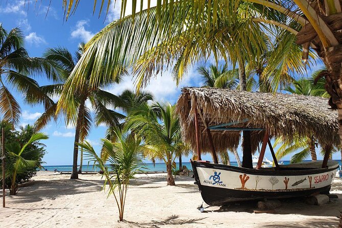 Dominican Republic: See Almost It ALL in 6 Days, 1st Class Custom Tours - Key Points