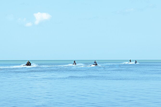 Double Jet Ski Tour Through the Mangroves Area - Tour Overview