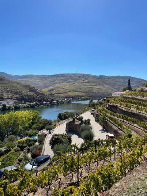 DOURO: FULL DAY DOURO VINEYARD TOUR MERCEDES V EXTENDED LENGTH - Key Points