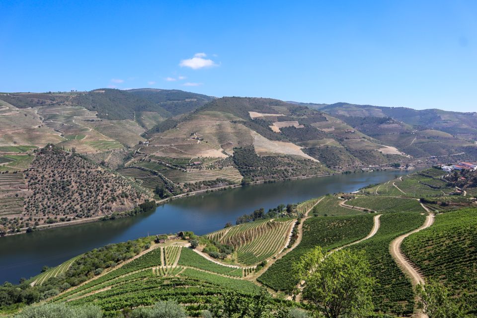 Douro Valley: Douro Valley Tour Including 3 Wineries - Key Points