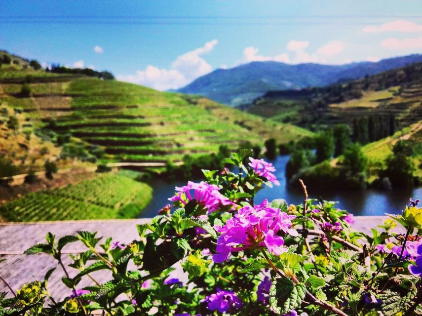 Douro Valley Full-Day Tour With Wine Tasting & Lunch - Key Points