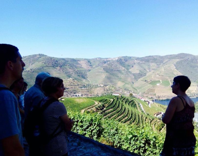 Douro Valley Vineyards Full-Day Tour From Porto - Key Points