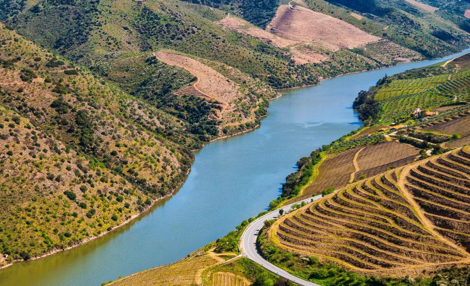 Douro: Wine Tasting and River Cruise Experience - Key Points