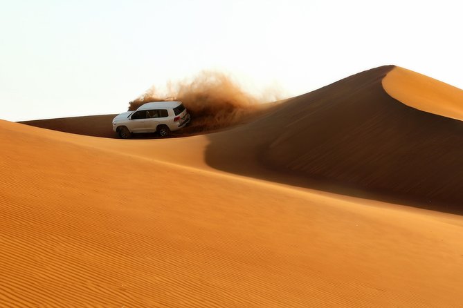 Dubai: Adventure Evening Desert Safari, Camel Ride, Shows & BBQ Dinner - Key Points