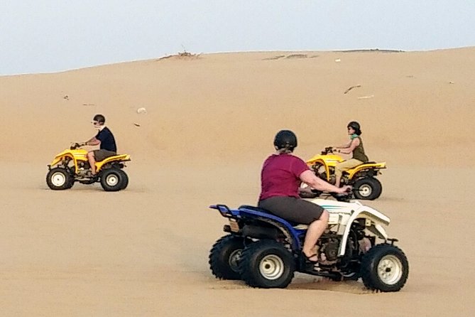 Dubai Desert Dinner, Camel Ride, Sandboarding, Live Shows, BBQ - Key Points