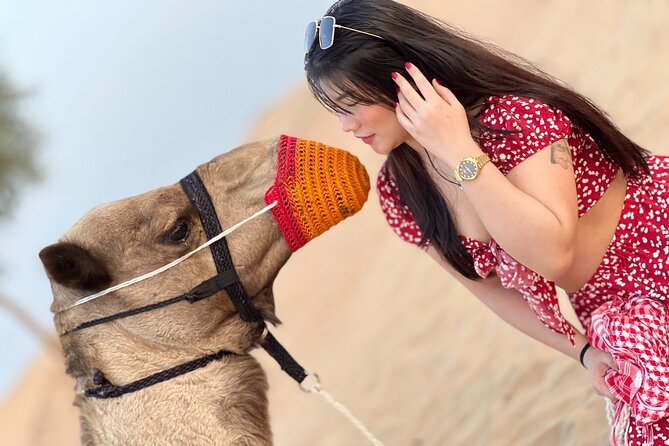 Dubai: Red Dunes Desert Safari, Camel Ride, Shows & BBQ Dinner - Key Points