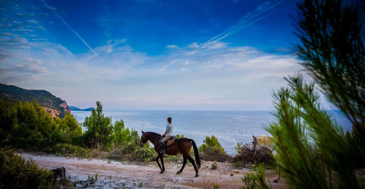 Dubrovnik Kojan Koral: Horseback Riding - Key Points