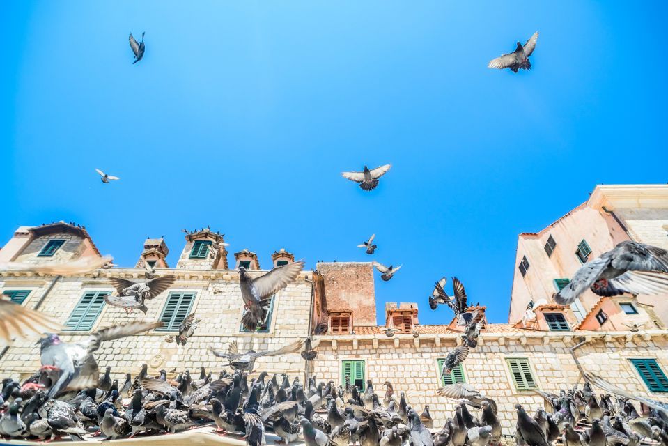 Dubrovnik: The Ultimate Game of Thrones Tour - Key Points