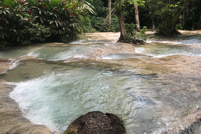 Dunns River Falls and Bluehole Private Tour - Pricing Details