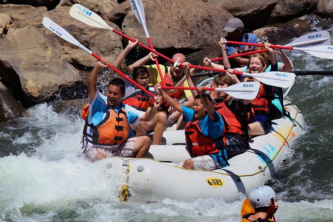 Durango 4 Hour Whitewater Rafting Adventures for All Levels - Key Points