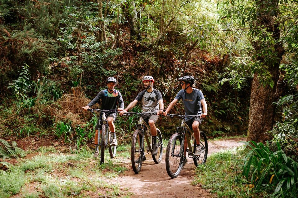 E-Bike Guided Tour - Mountain Biking Experience - Key Points