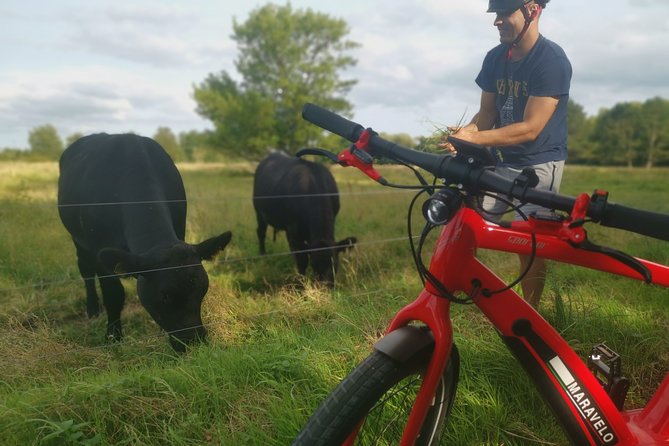 E-Biking Central Forgotten Giants S Adventure - Tour Details