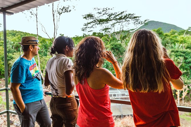 Ebony Forest Reserve Chamarel: Endemic Birdwatching Guided Tour - Key Points