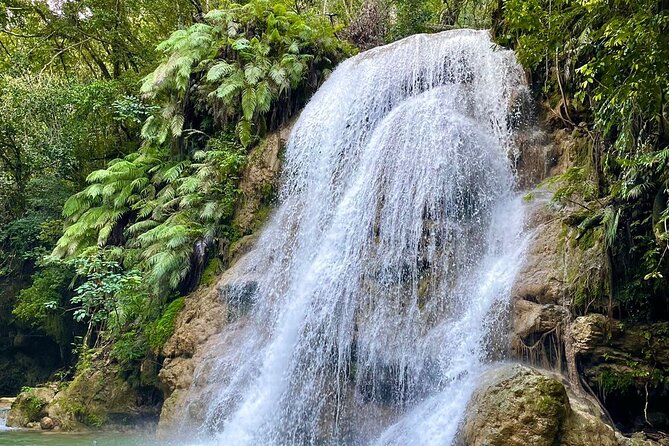 Ecolodge Overnight Experience El Limon Waterfalls, Samana, DR. - Key Points