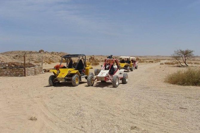 El Gouna Sahara Dune Buggy Morning Adventure - Key Points