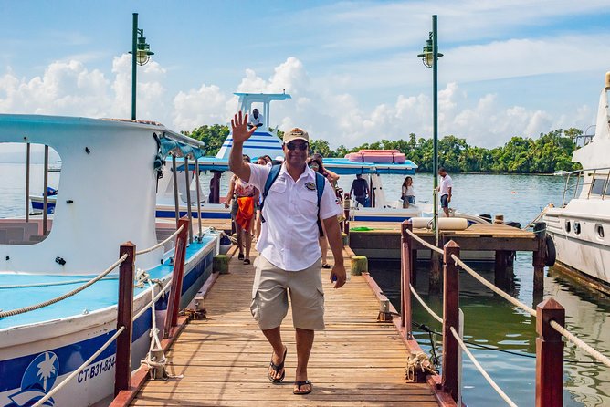 El Limon Waterfall and Bacardi Island Tour From Punta Cana With Lunch Included - Excursion Overview