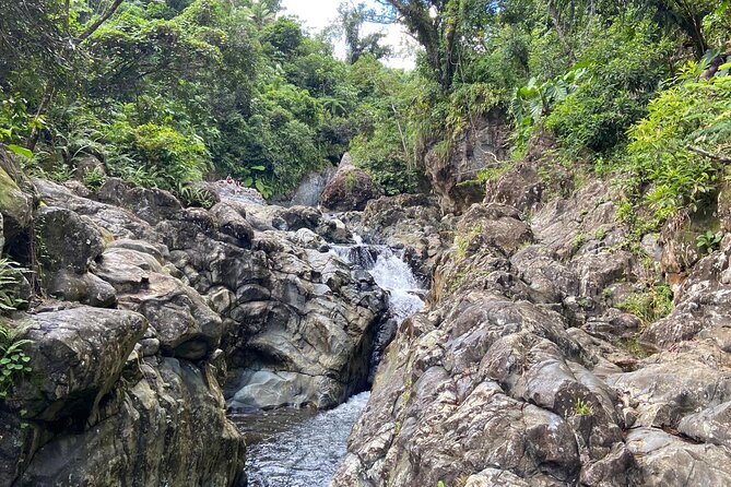 El Yunque Rainforest Morning River And Hike Adventure Inclusions