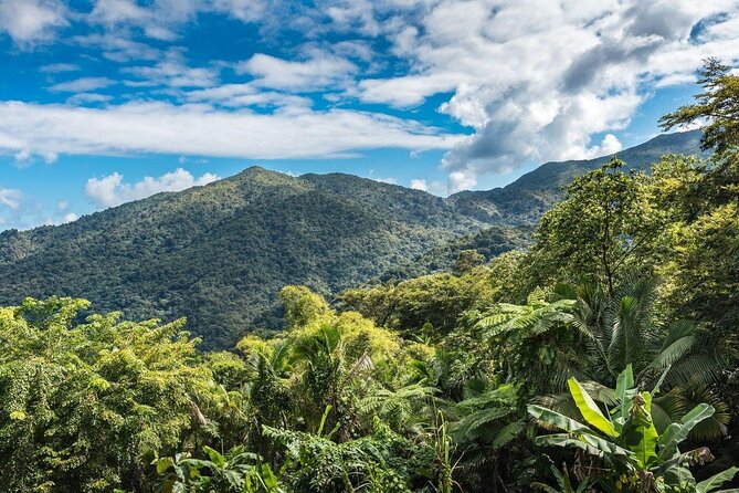 El Yunque Rainforest Tour With Transport From San Juan Area - Key Points