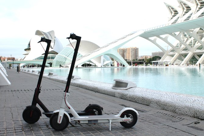 Electric Scooter Rental - Key Points