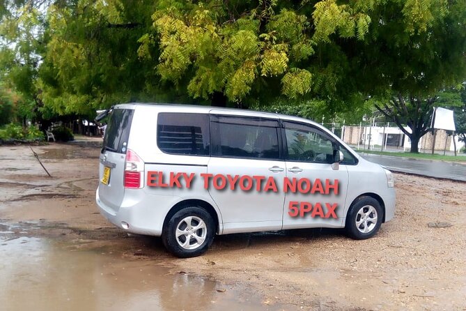 Elkydiani Beach Taxis - Key Points