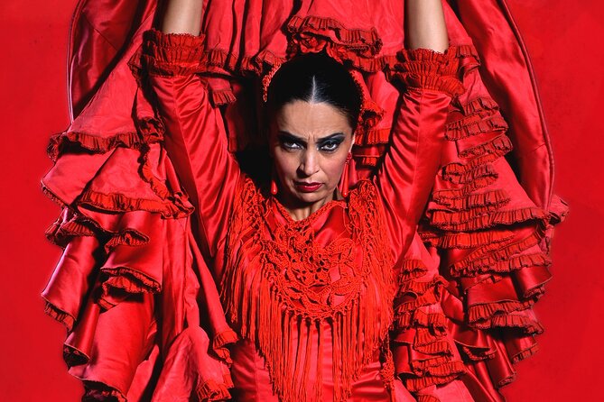 Entrance to the Flamenco Show at Teatro Flamenco Málaga - Key Points