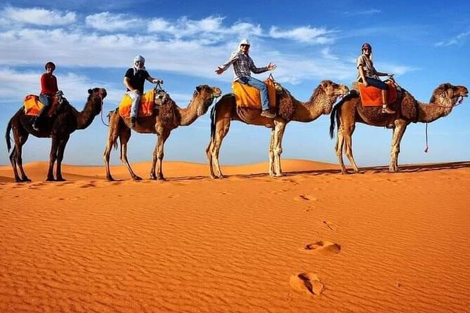 Erg Chebbi 1 Night Luxury Camp and Camel Trekking Desert Camp - Key Points