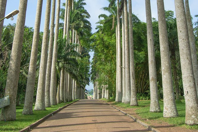 Escape Accra City to Aburi Gardens and Tetteh Quarshie Cocoa Farms - Key Points