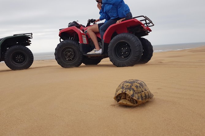 Essaouira: 2-Hour Quad Ride (Free Transfer) - Key Points