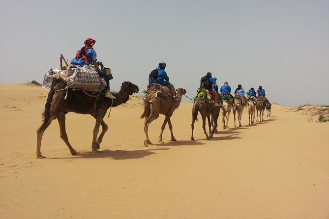 Essaouira: 3-Hour Camel Tour - Key Points