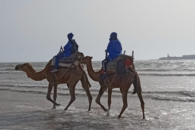 Essaouira Private Camel Ride (1 Hour). - Exploring Essaouiras Historical Sites