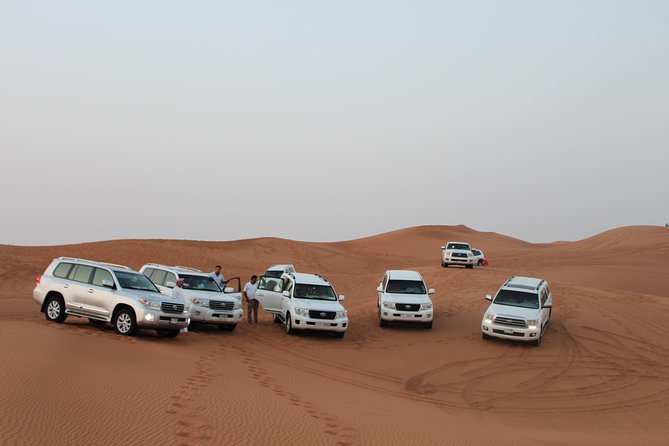 Evening Desert Safari on Red Dunes + Sandboarding + BBQ Dinner & Entertainment - Key Points