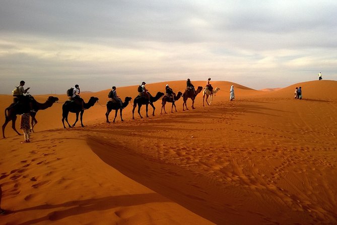 Evening Desert Safari With BBQ Dinner(Pvt) - Key Points