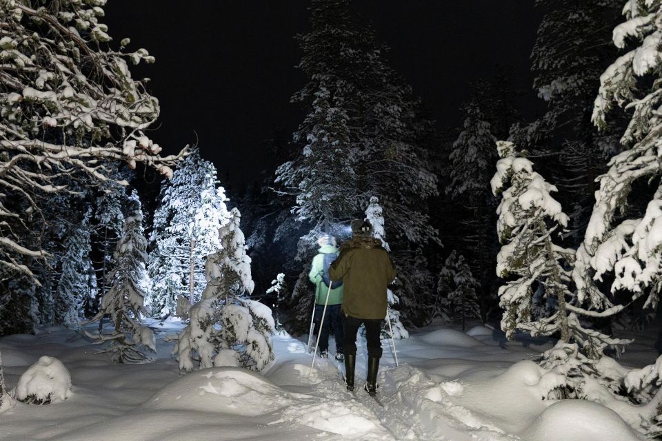 Evening Ski Trek to the Wilderness - Extra Small Group - Key Points