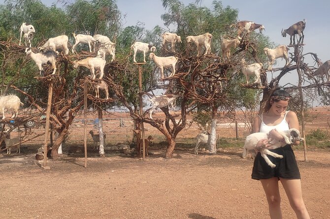 Excursion Essaouira From Marrakech - Key Points