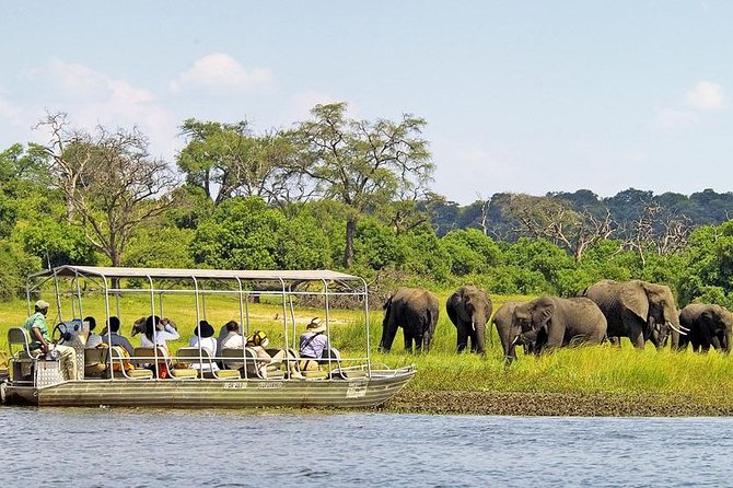 Explore Chobe National Park With a Day Trip From Victoria Falls - Key Points